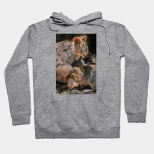 Quokka Family Hoodie